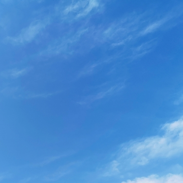 Weather Forecast