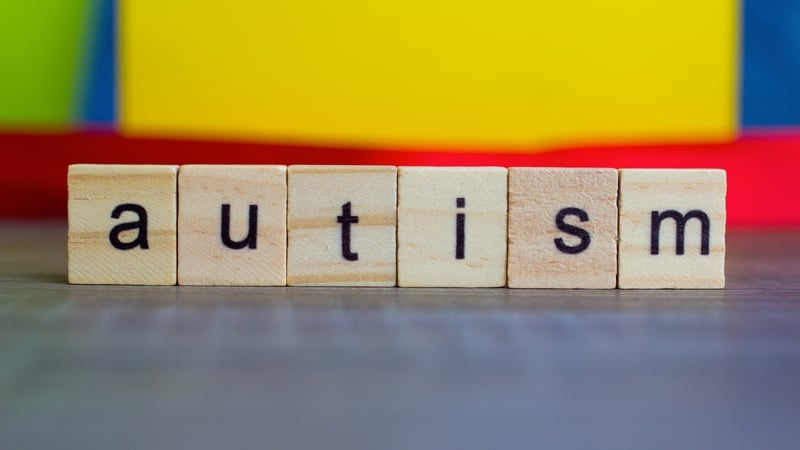 Autism Europe International Congress being held in Ireland this year