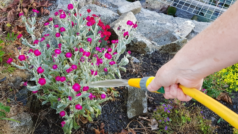 Extended hosepipe ban in Meath, Westmeath and Donegal