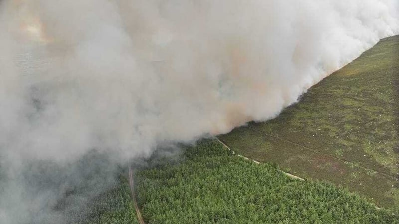 'Too early' to assess forest fire damage in Tipperary - Coillte