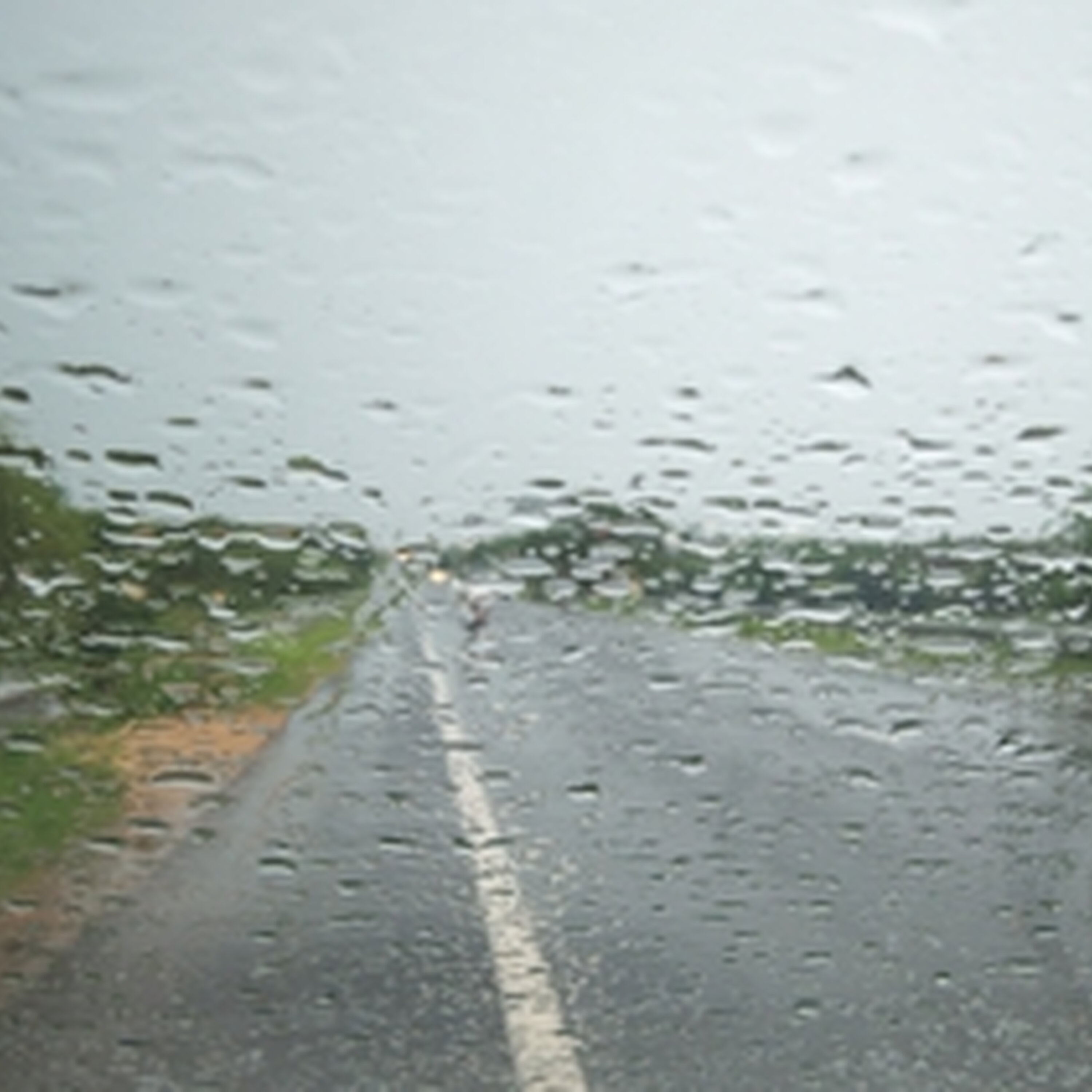 Weather Forecast