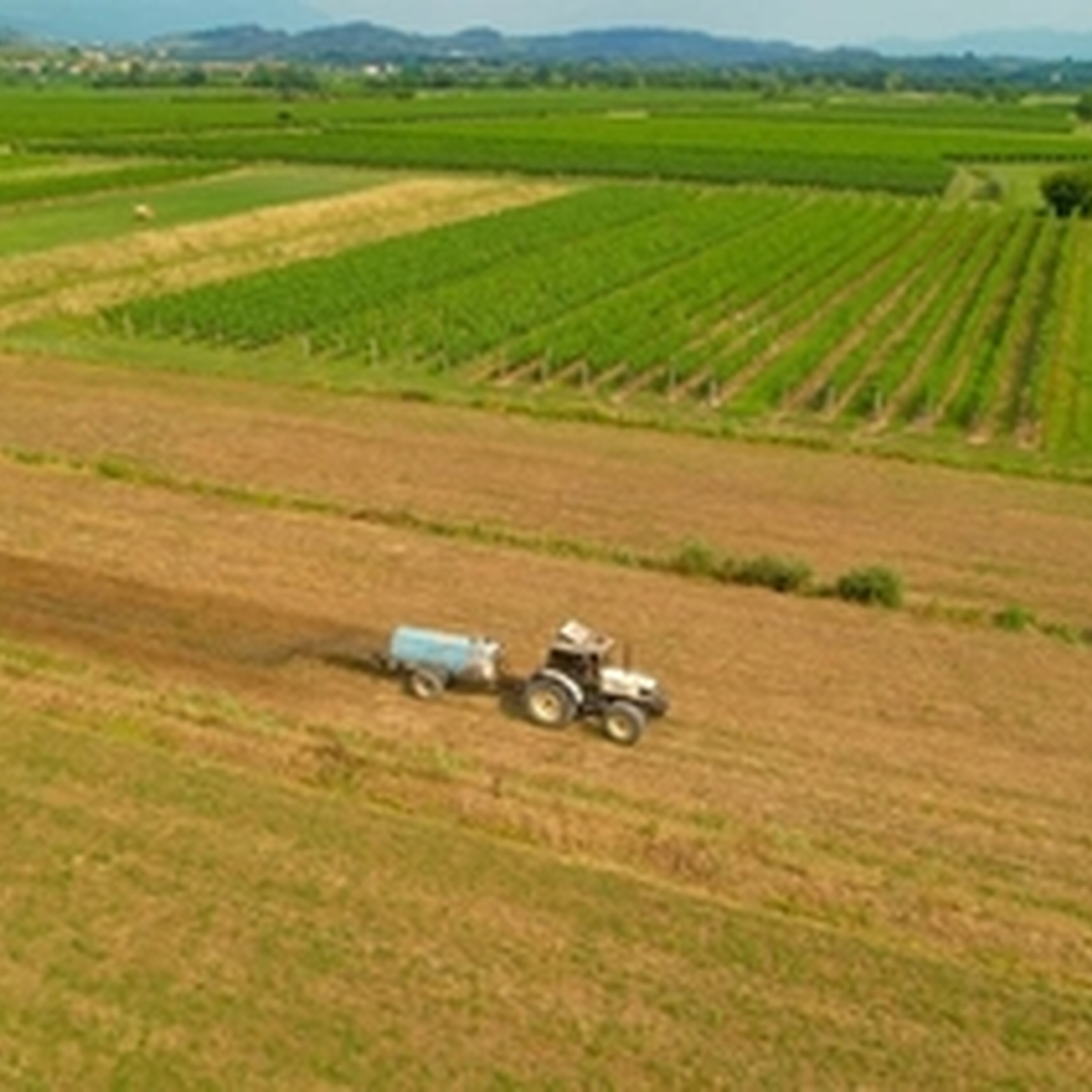 Farmers advised to prepare for severe swings in weather by Climate Council