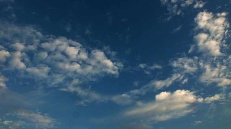Weather Forecast
