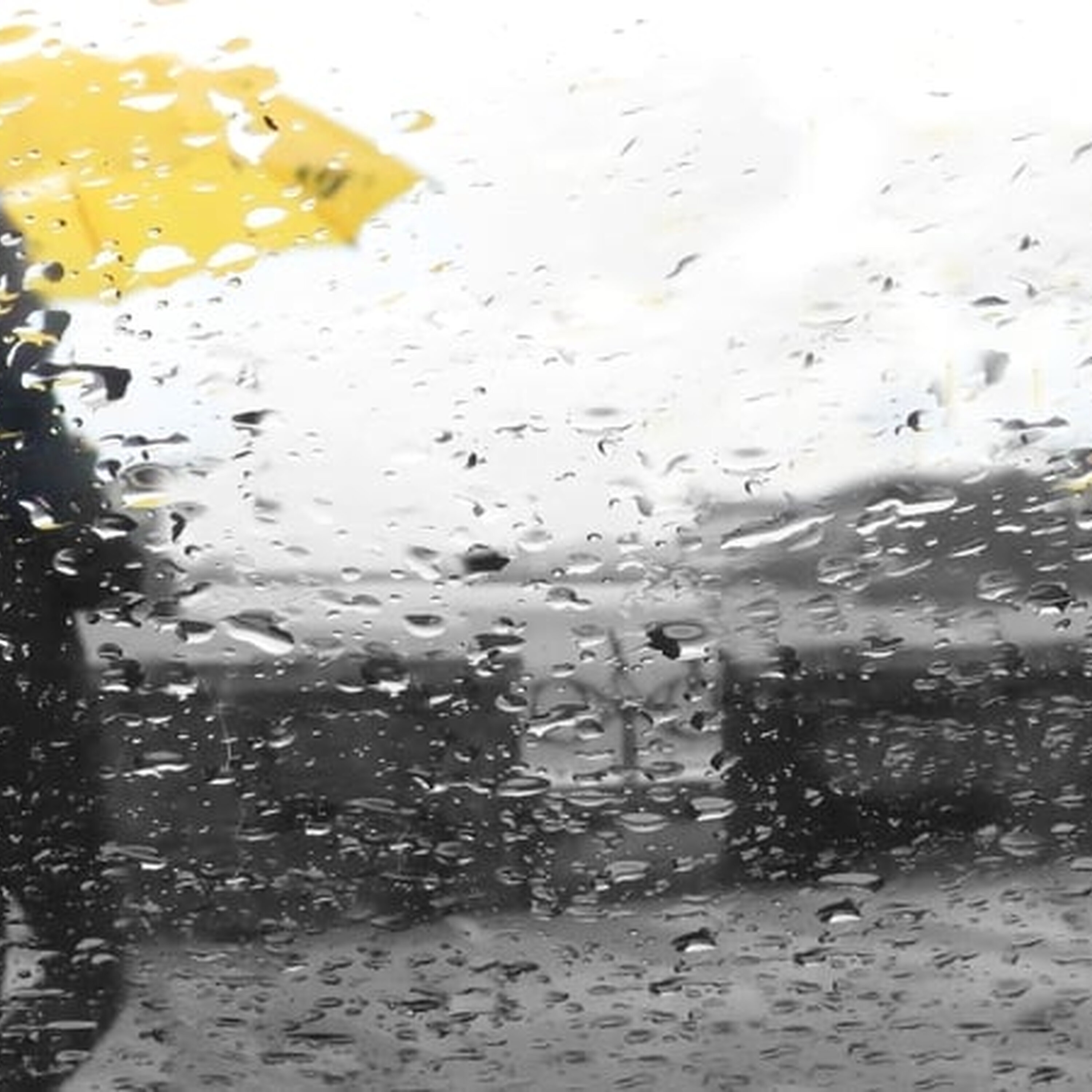 Weather Forecast Weather Forecast