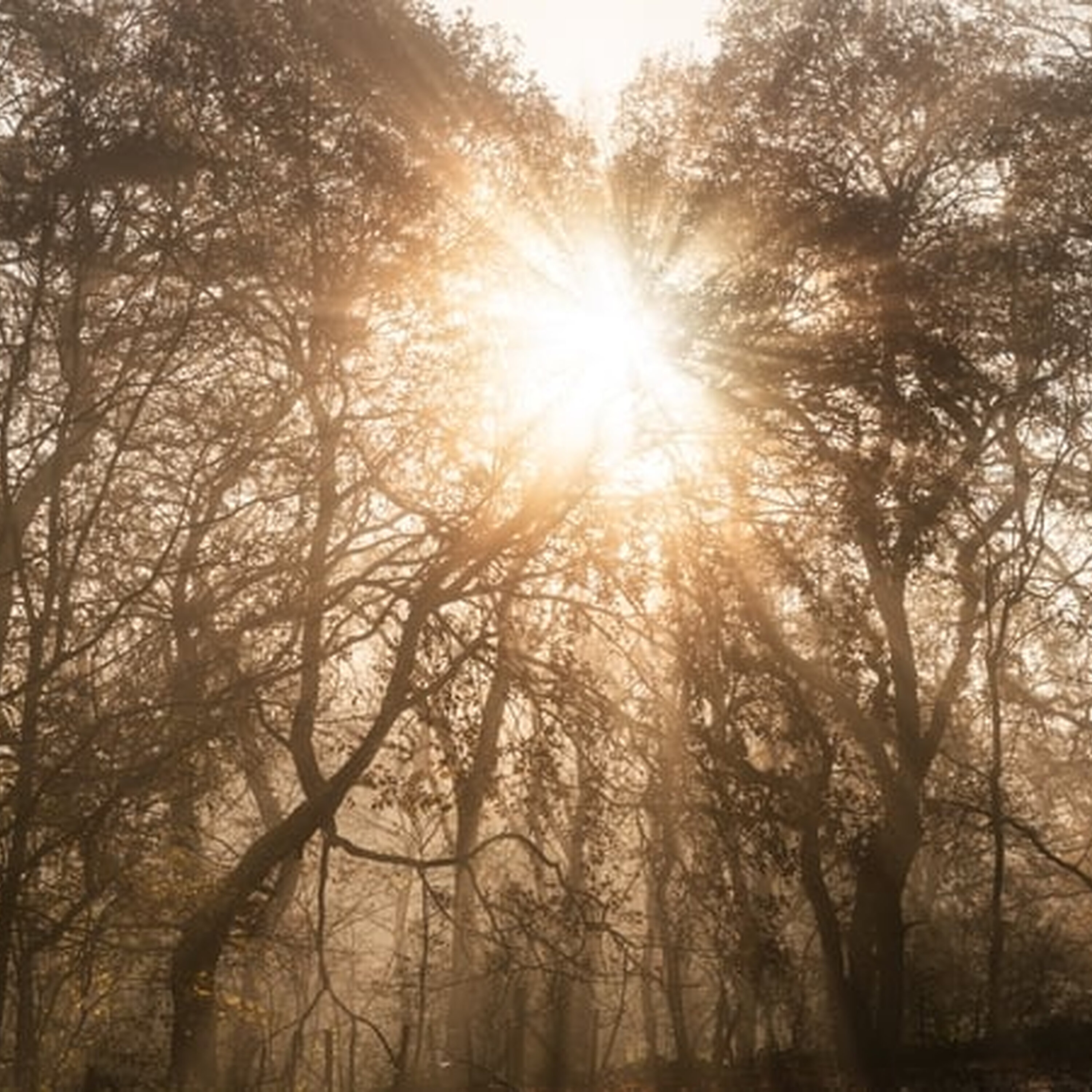 Weather Forecast Weather Forecast