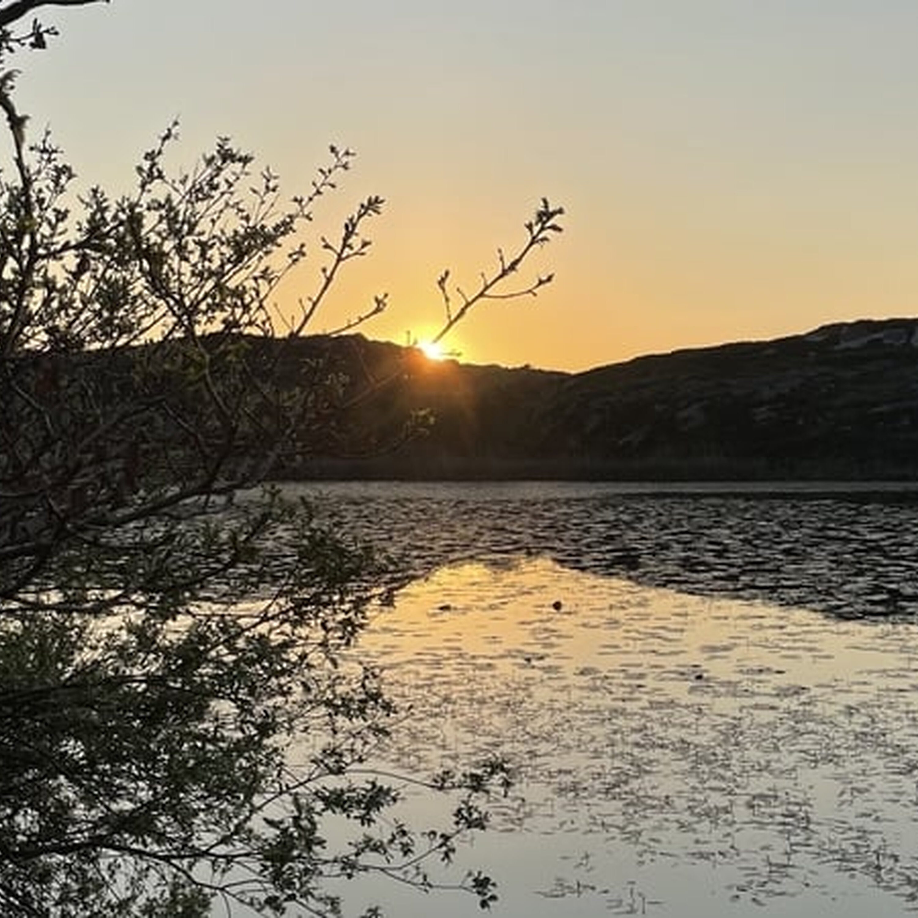 Weather Forecast Weather Forecast