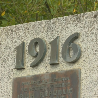 Descendants call for recognition of Laois 1916 volunteers