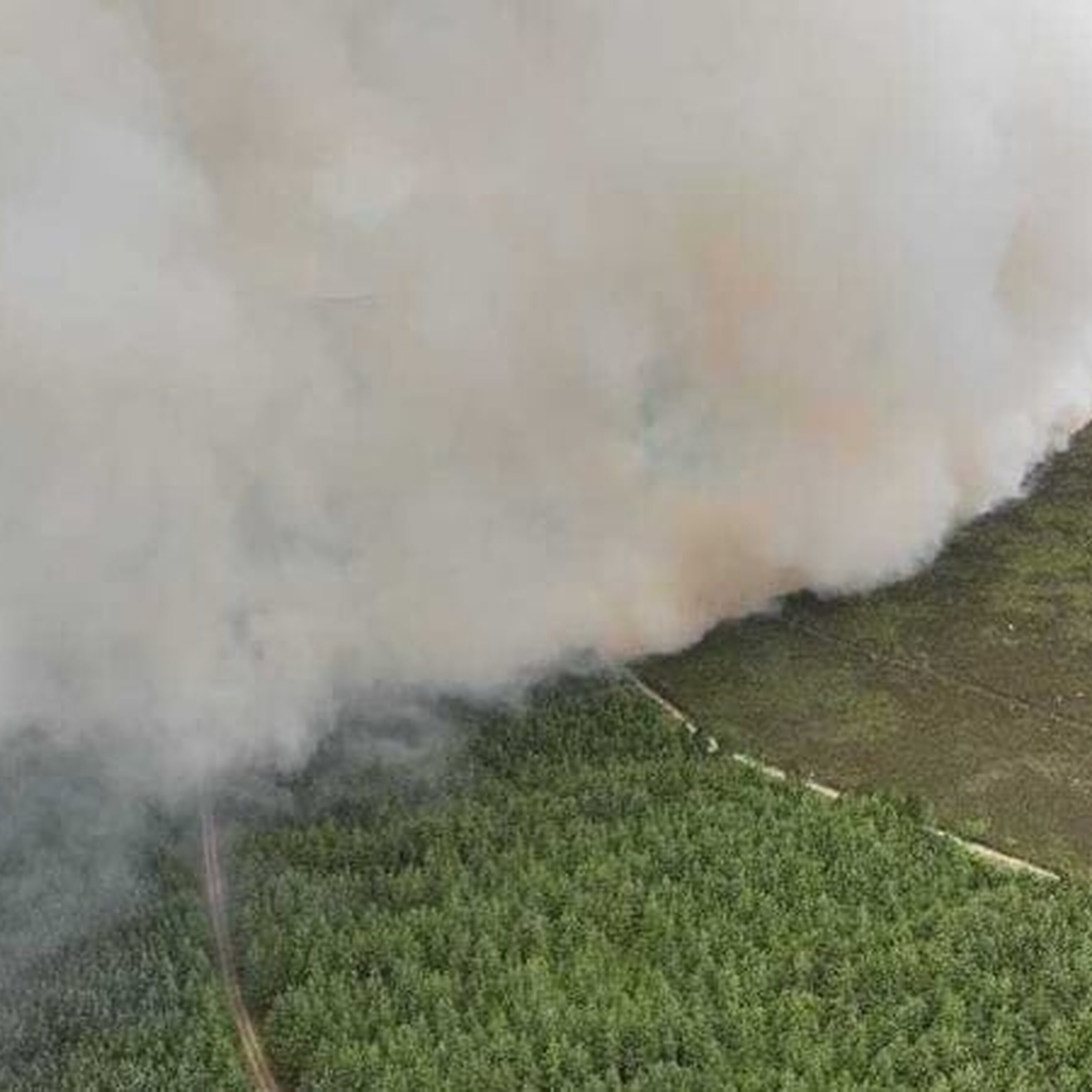 Day four of firefighting on Slievenamon
