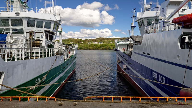 Concerns from industry that new EU regulation will increase cost of fish