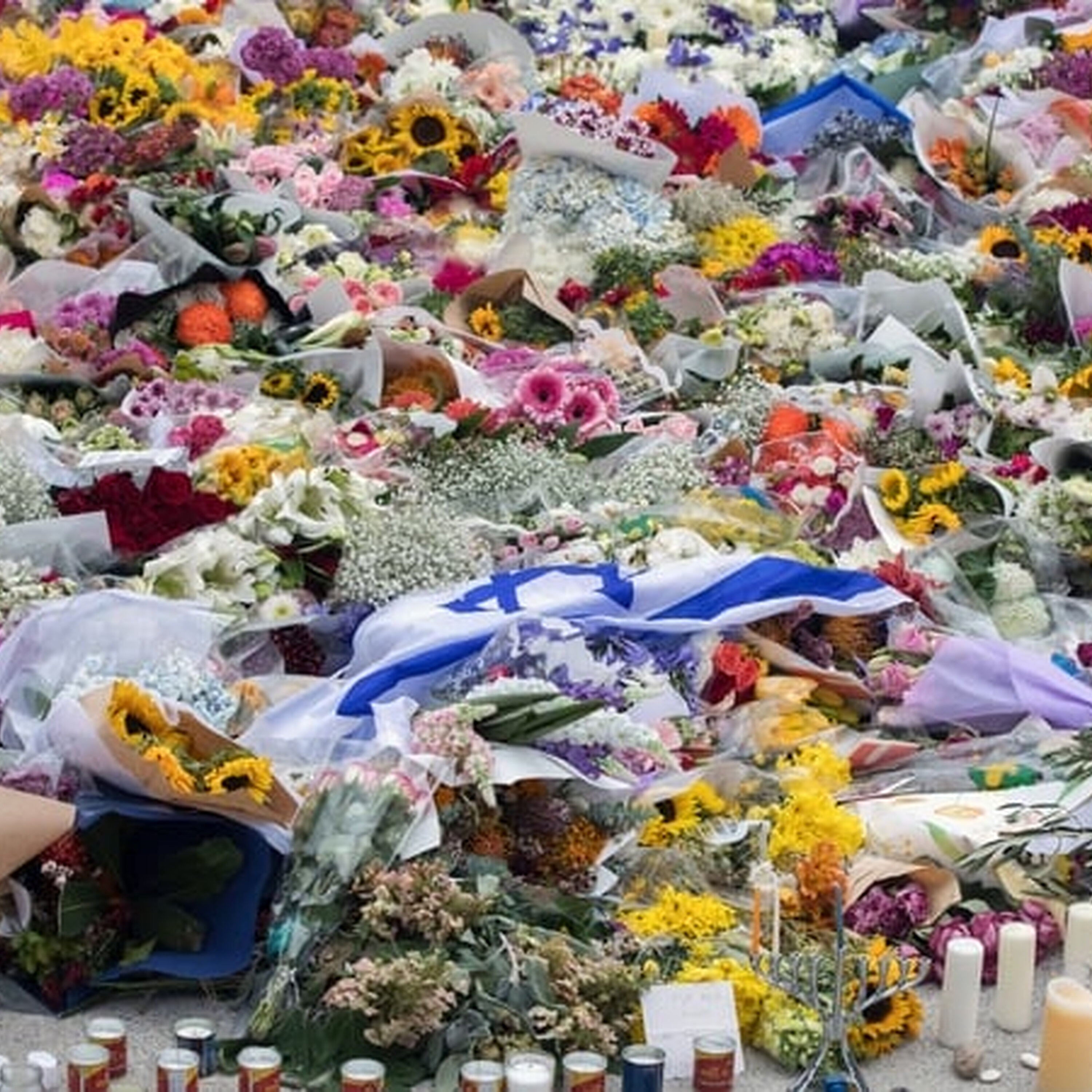 Bondi gunmen inspired by Islamic State - police Bondi gunmen inspired by Islamic State - police