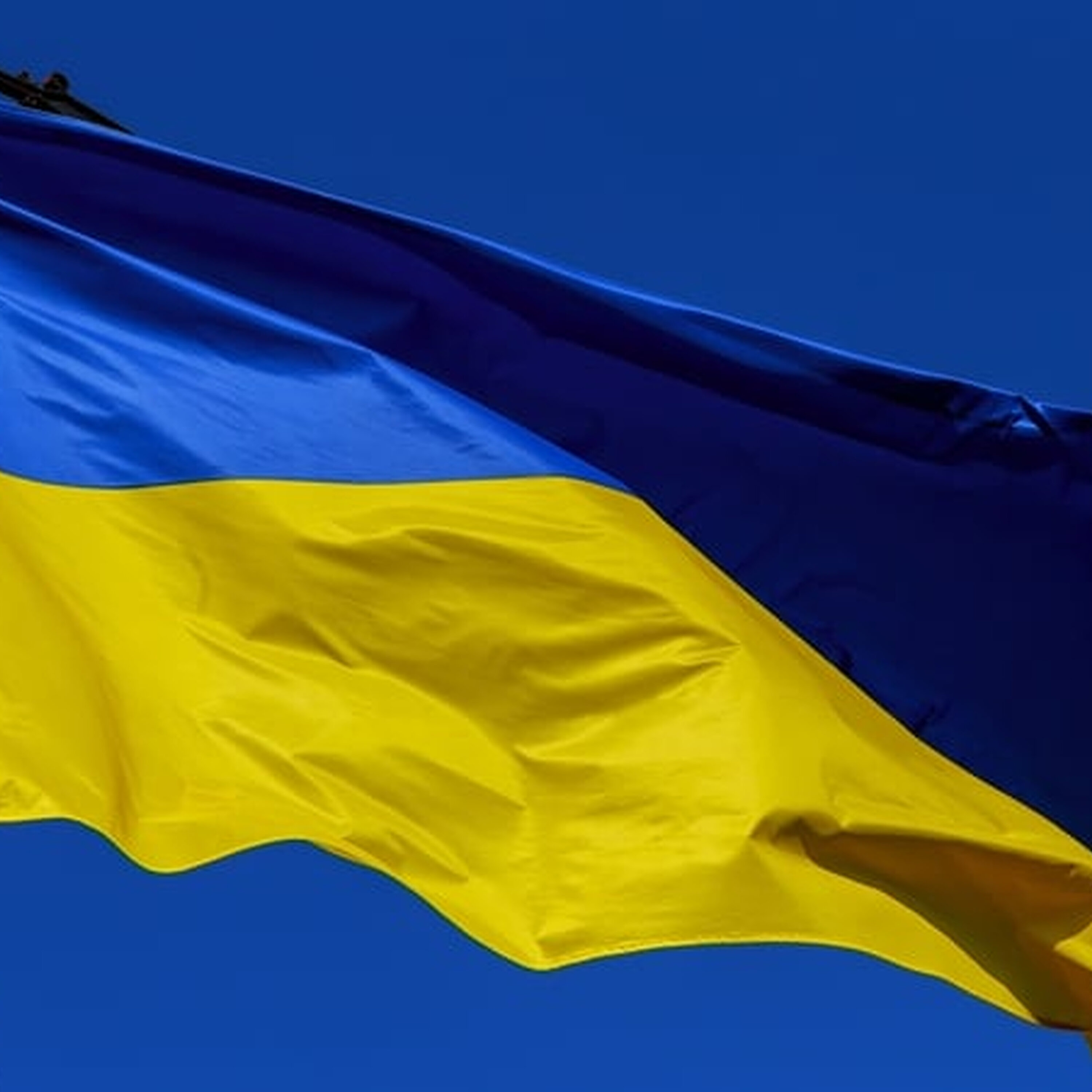 ICRC Forensics specialist in Ukraine ICRC Forensics specialist in Ukraine