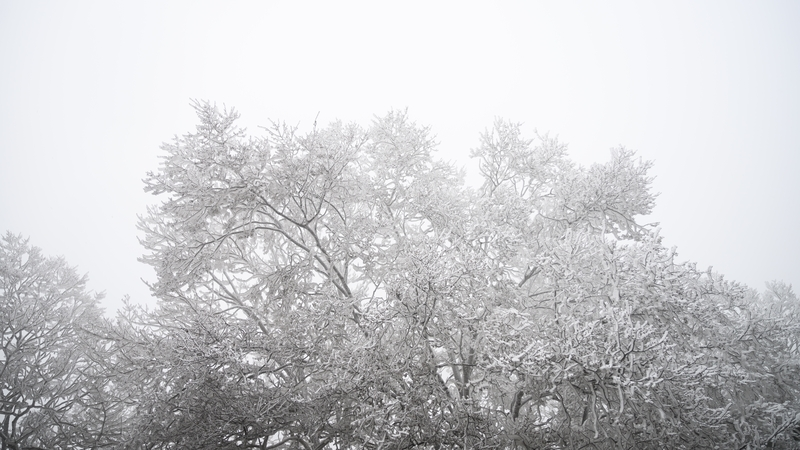 Arctic weather on the way