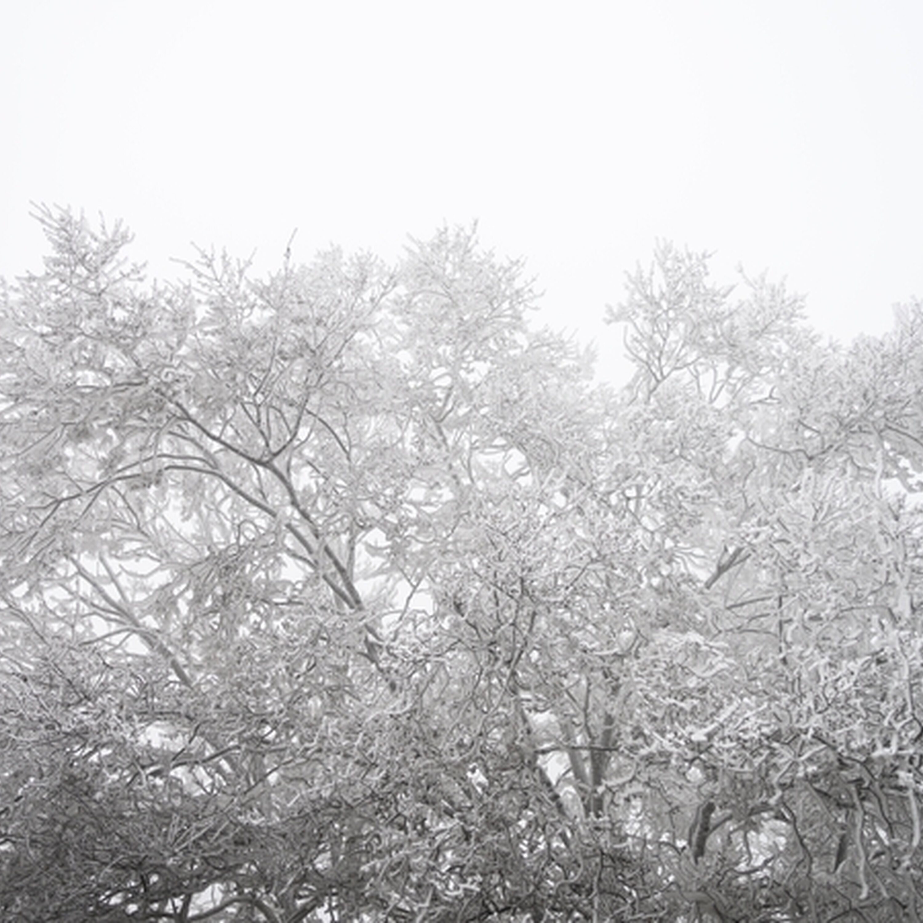 Arctic weather on the way Arctic weather on the way