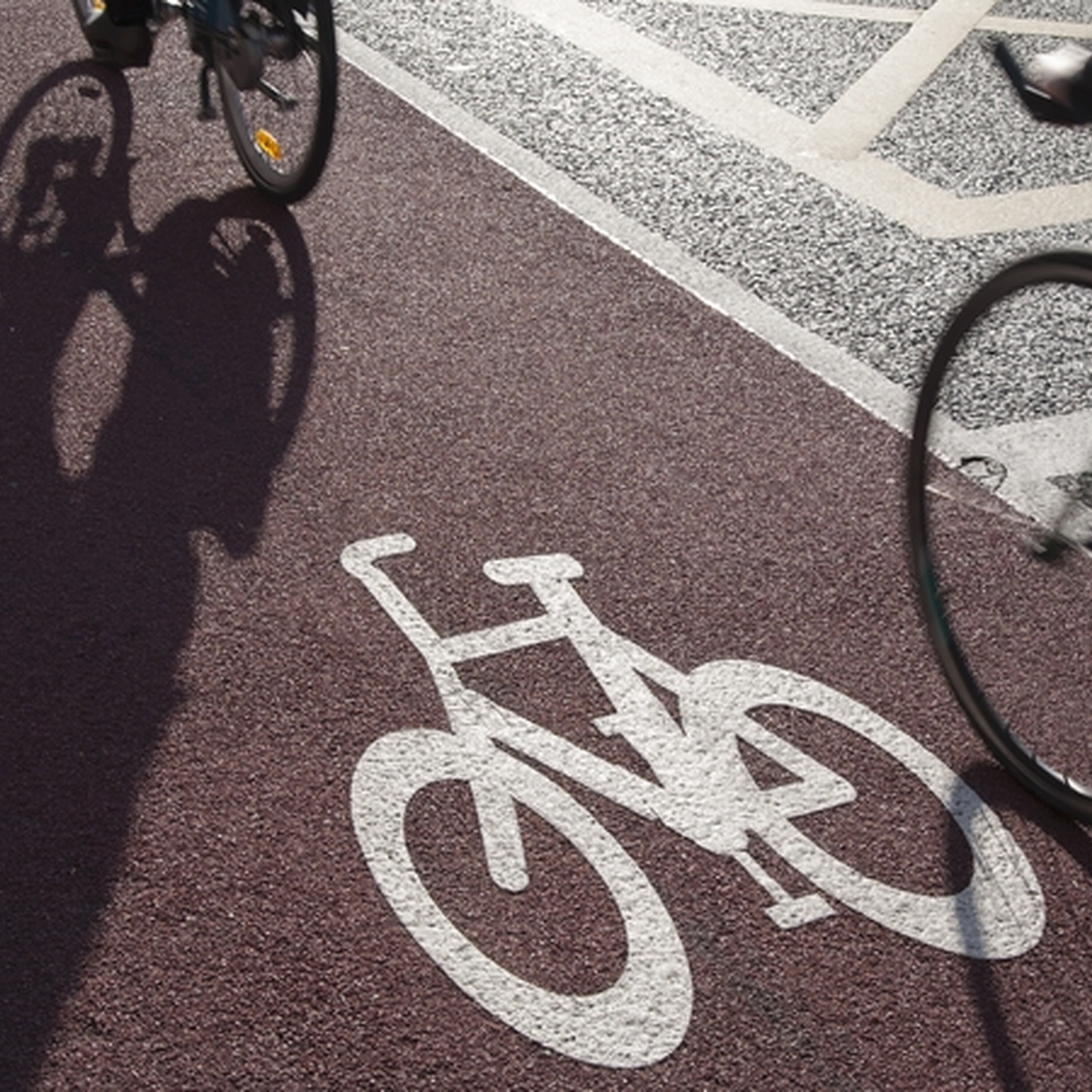 Should there be a speed limit on Cork greenway? Should there be a speed limit on Cork greenway?