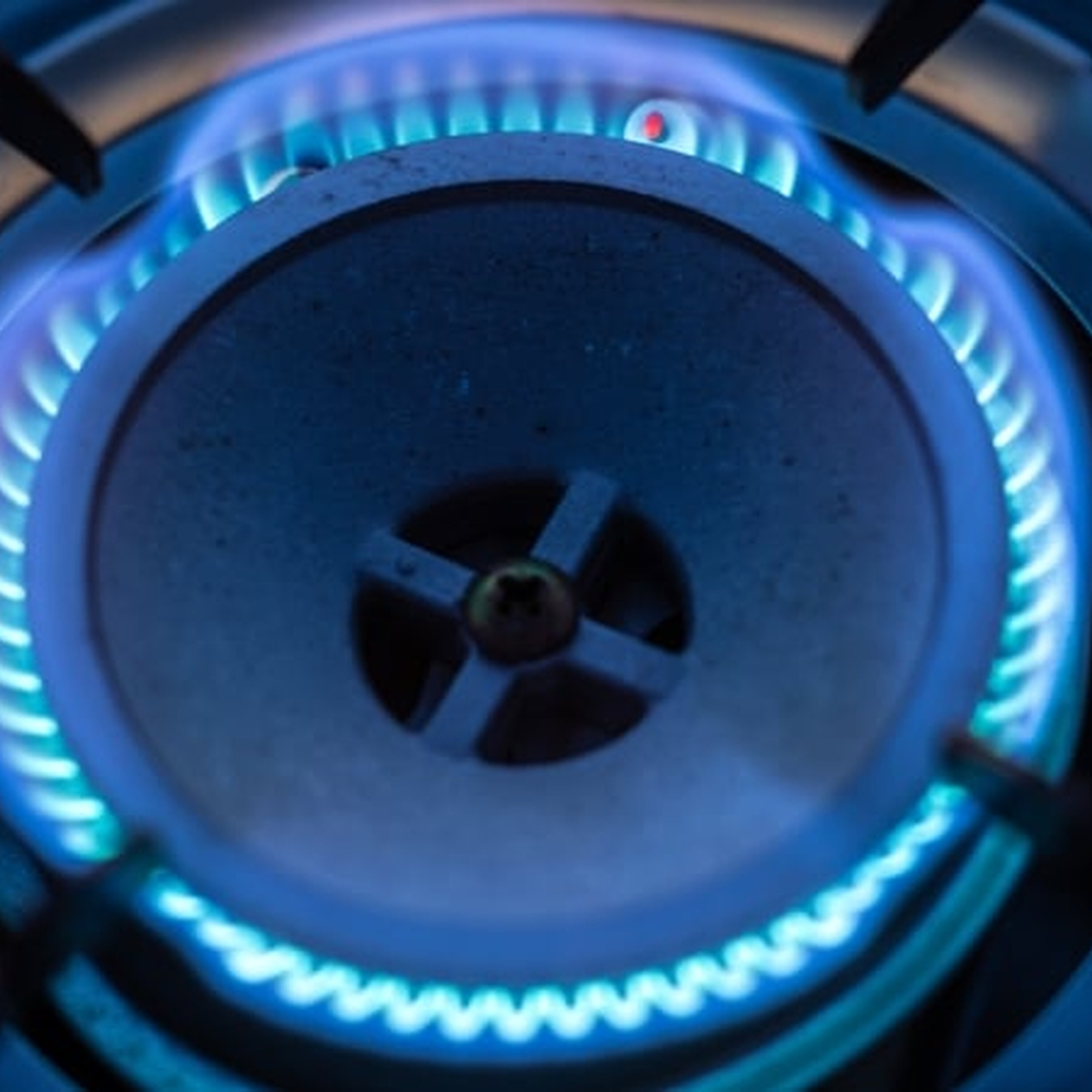 Government refused to provide energy credits in the budget despite advice Government refused to provide energy credits in the budget despite advice