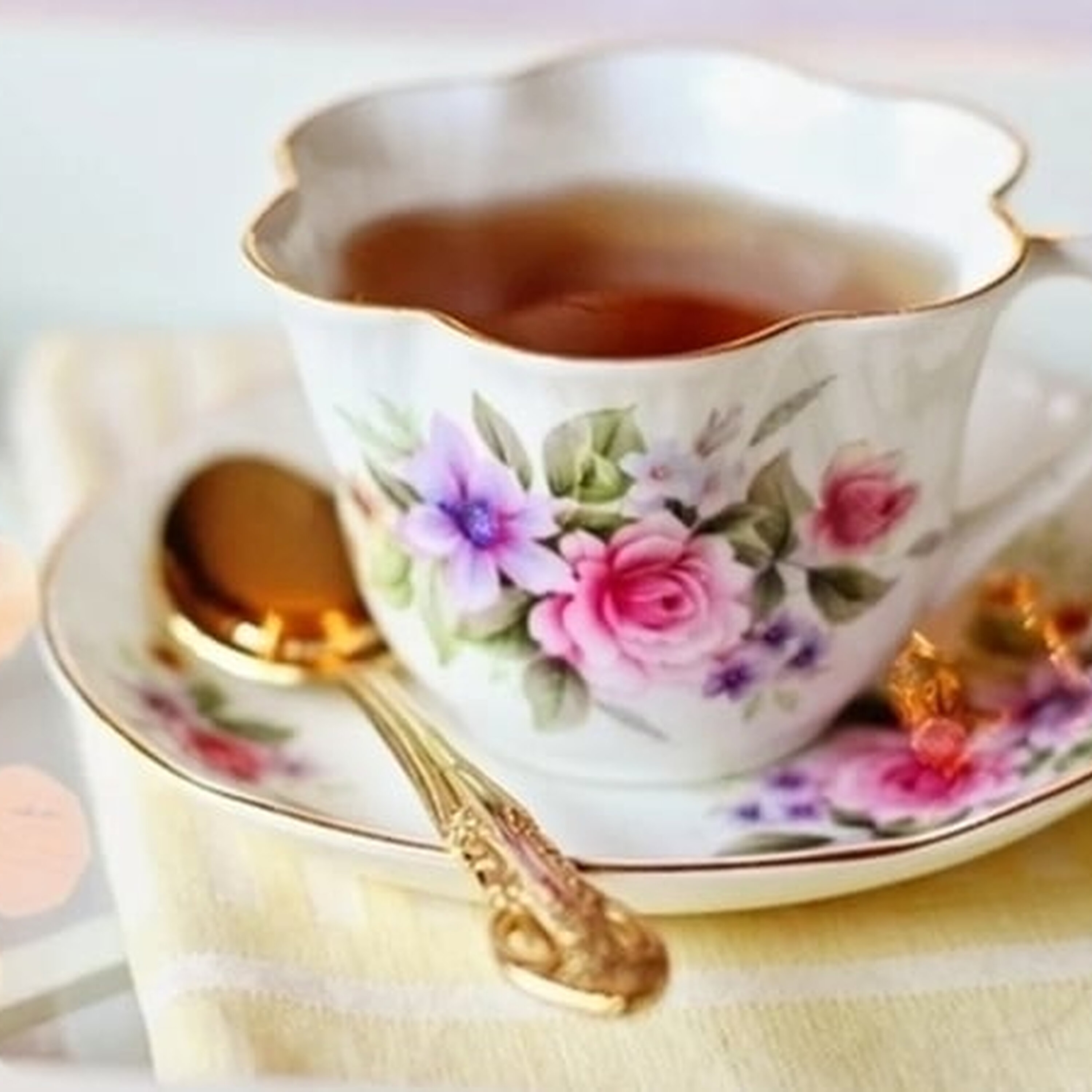 The Gathering The Gathering