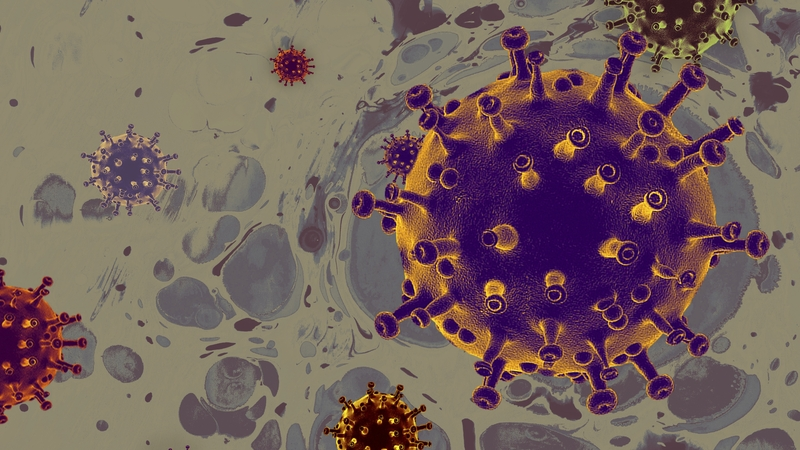 UK Covid inquiry - Wuhan tourists visited North and Republic early in pandemic