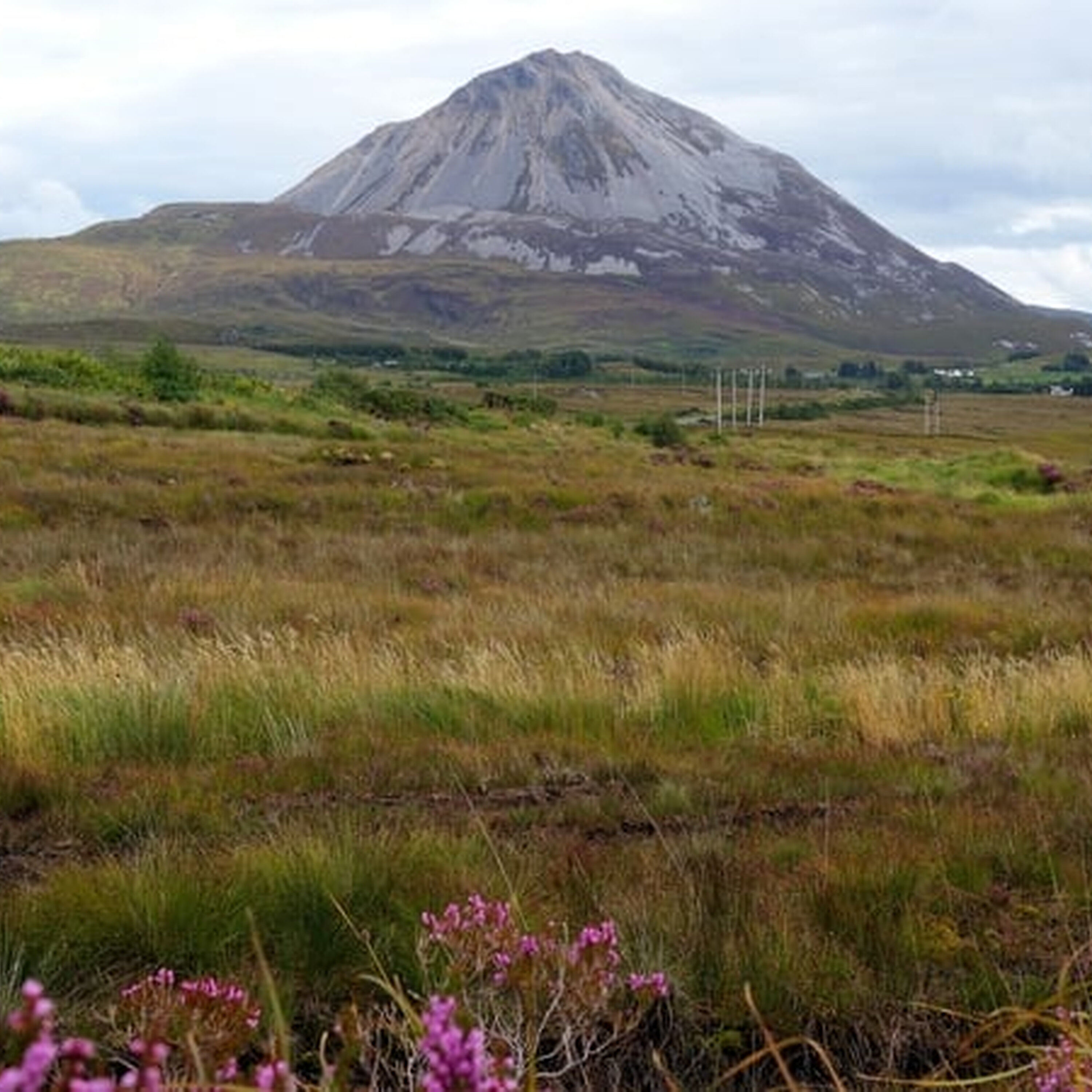 Mountain Off Road Damage Mountain Off Road Damage