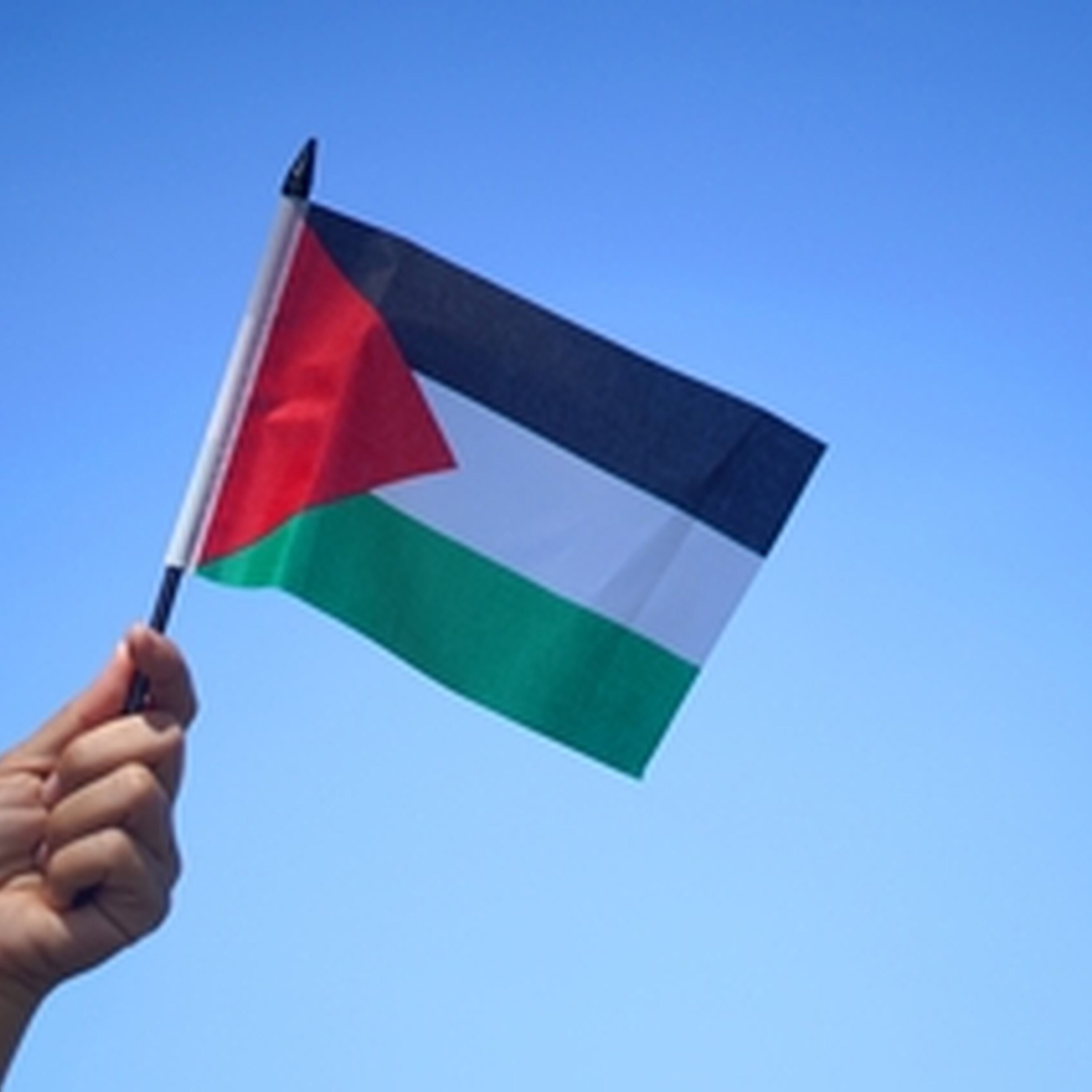 Palestinian students continue fight for visas
