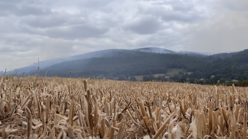 'Significant wildfire' remains active on Slievenamon