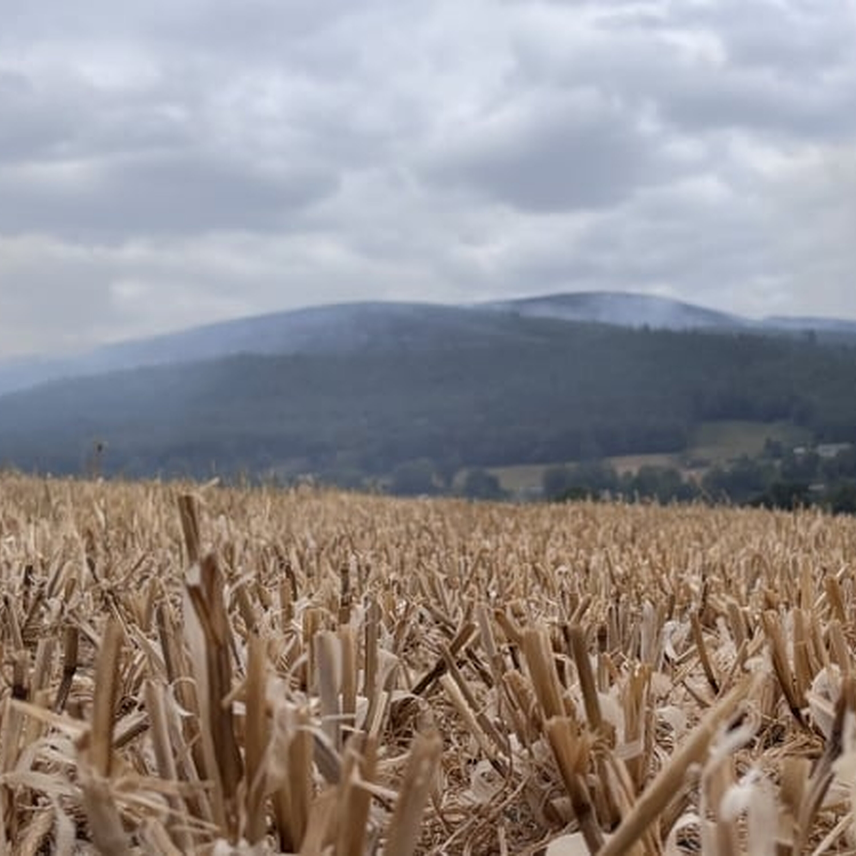 'Significant wildfire' remains active on Slievenamon