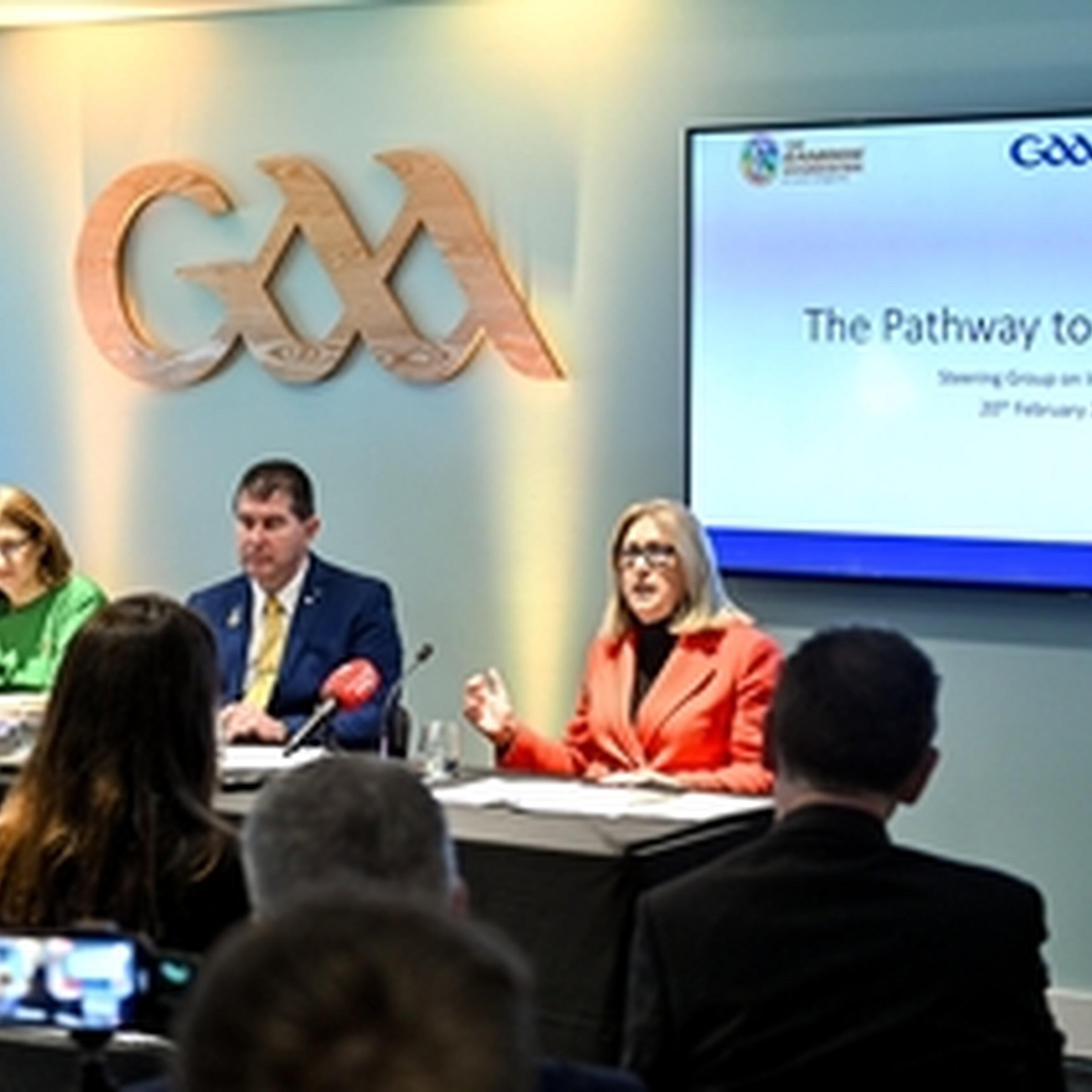 Mary McAleese steps down from GAA integration committee