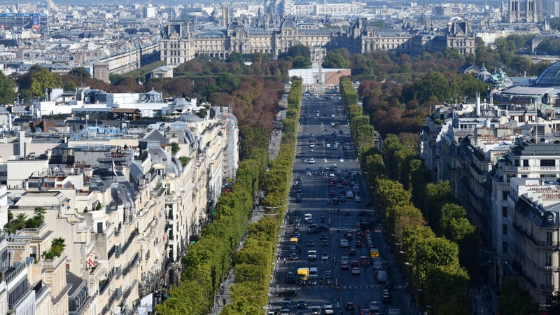 The importance of trees in urban areas
