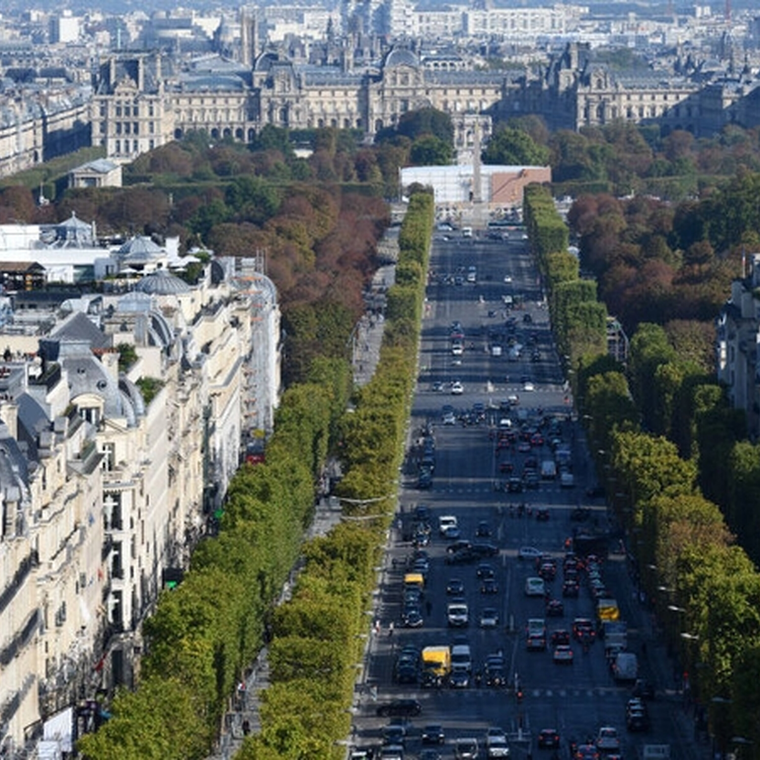 The importance of trees in urban areas