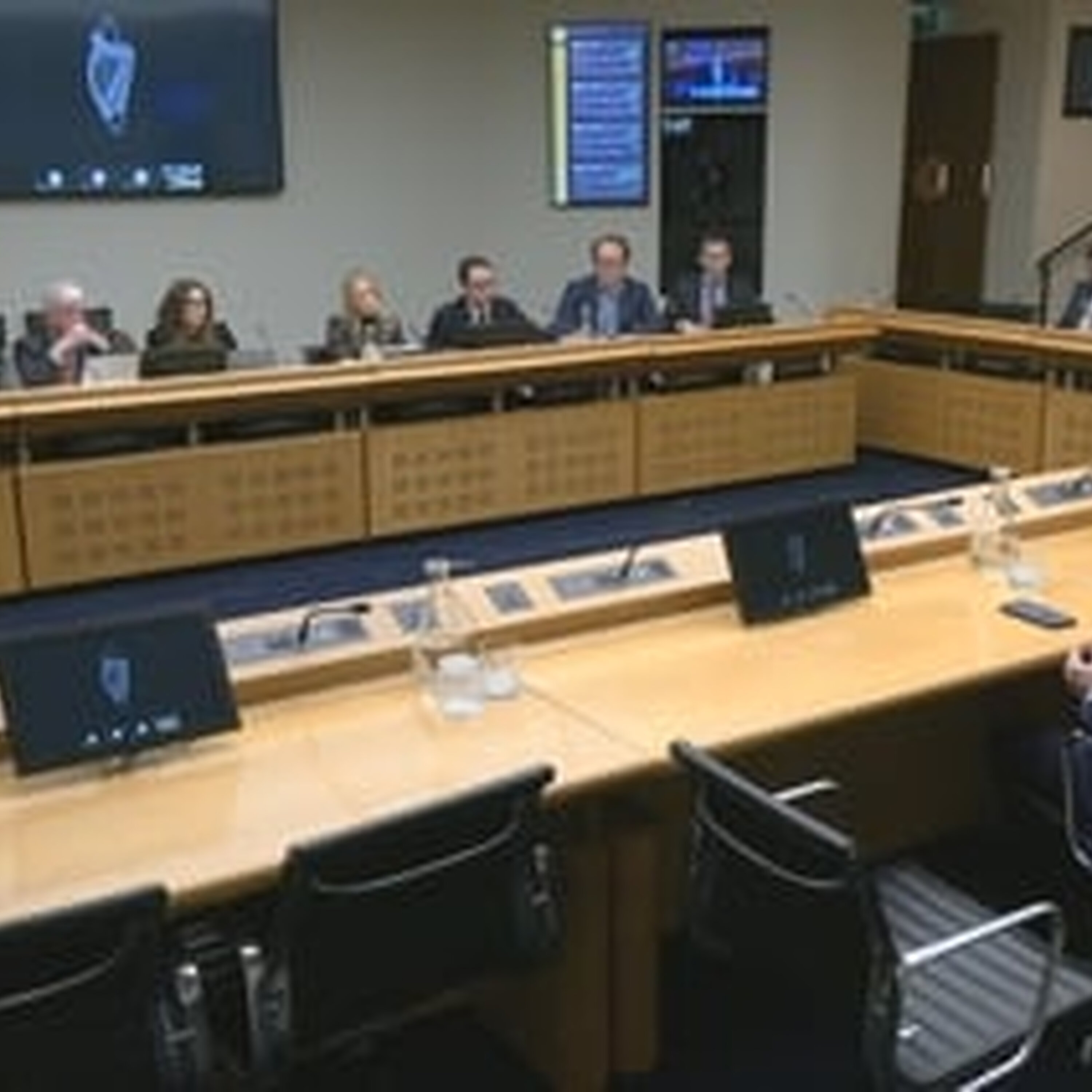 Meta and TikTok appear before Oireachtas