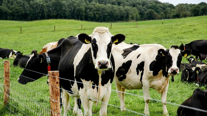 Should raw milk be more readily available?