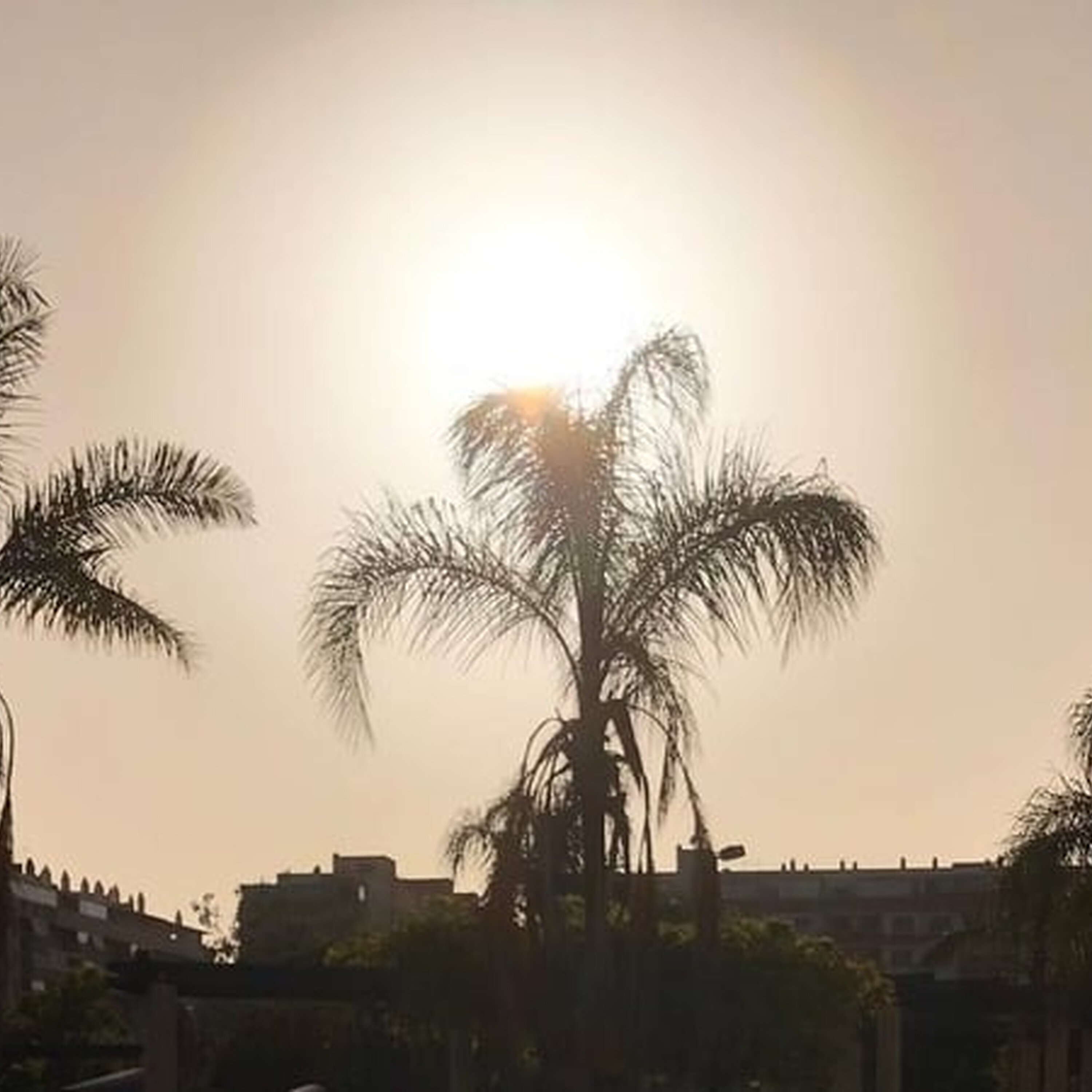 Extreme temperatures hit Spain
