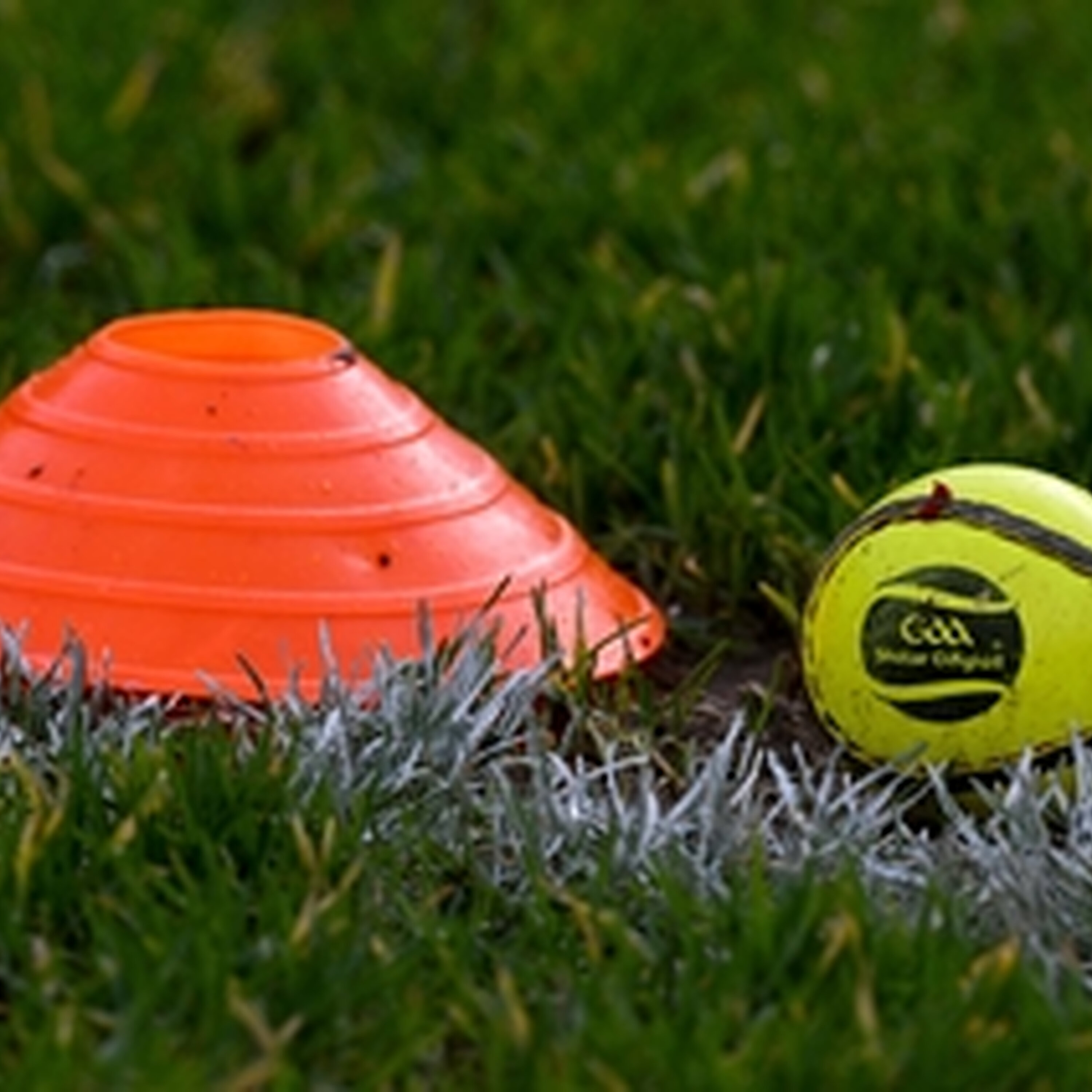 Camogie future and attendance for women in sport