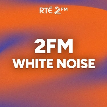 Dave Clarke's White Noise 1048