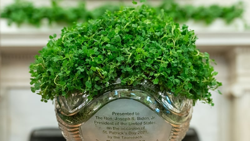 St Patrick's Day Visit