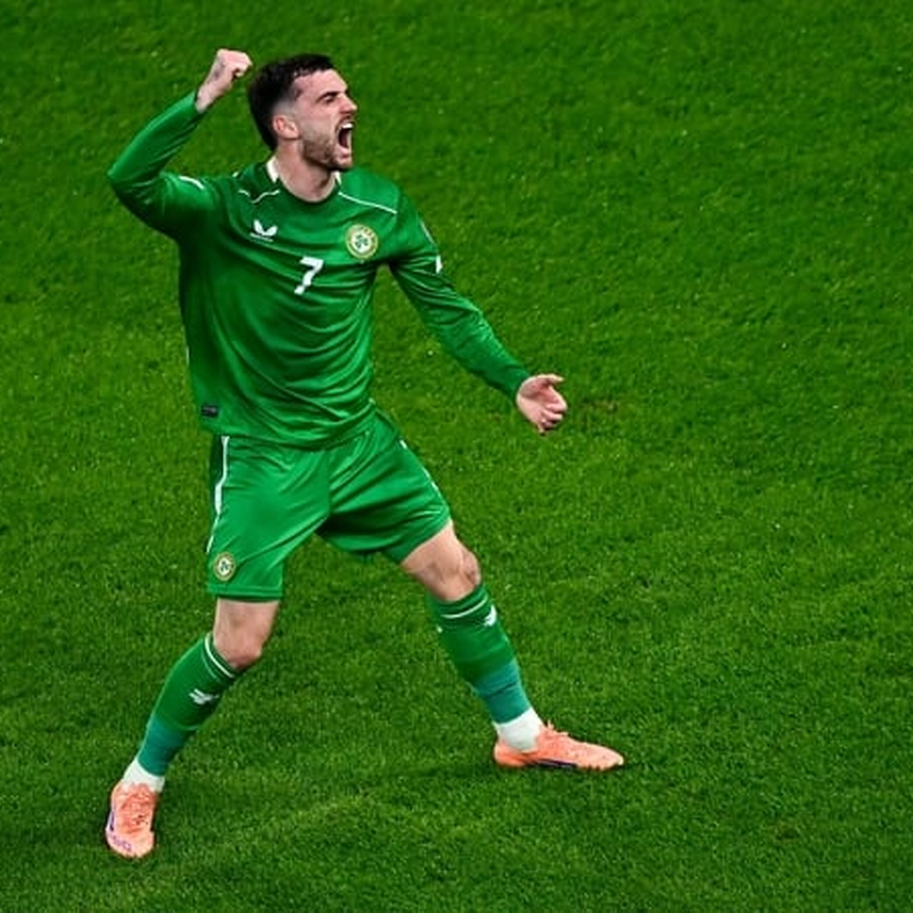 Ireland Beat Portugal in Dublin Ireland Beat Portugal in Dublin