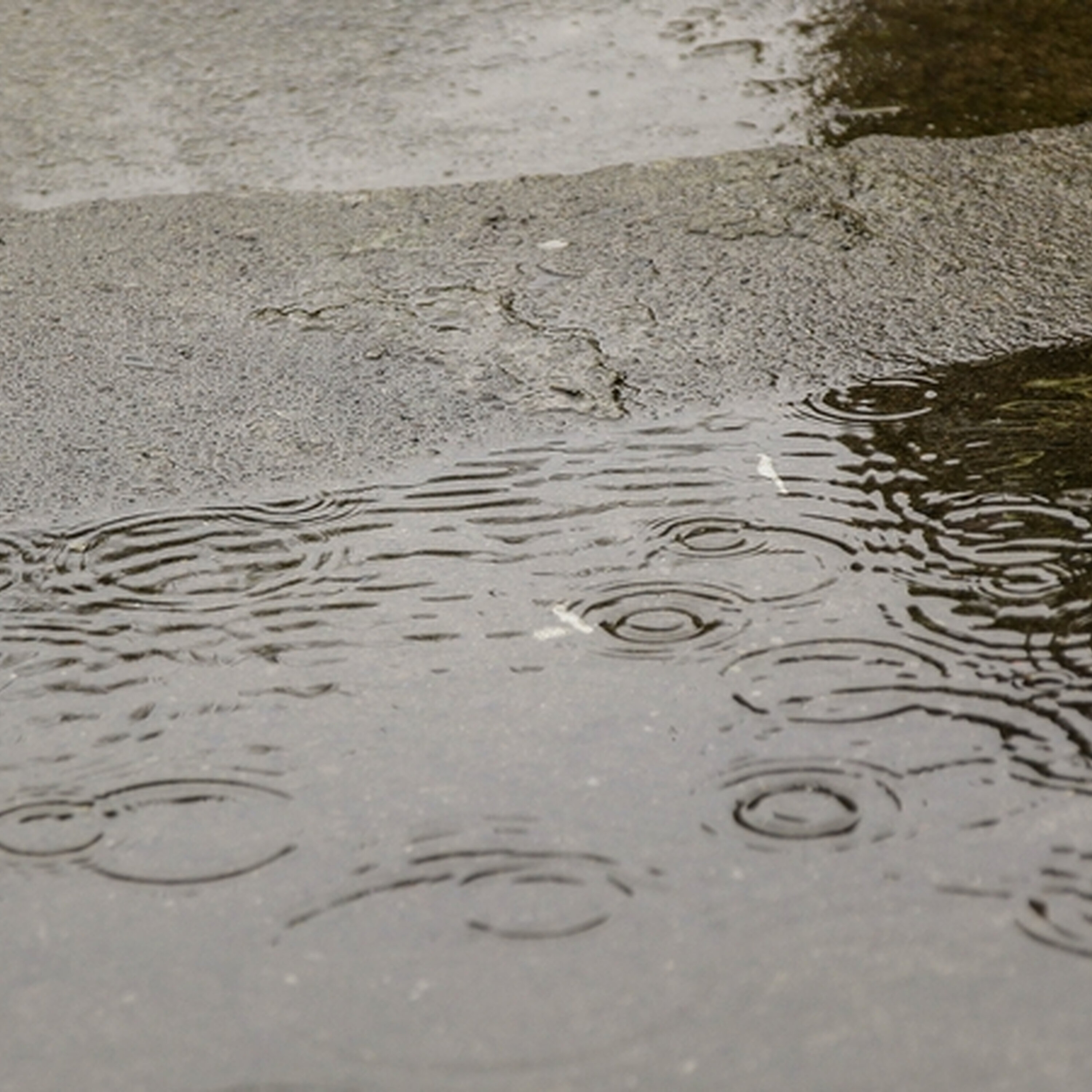 Property Flooded Property Flooded