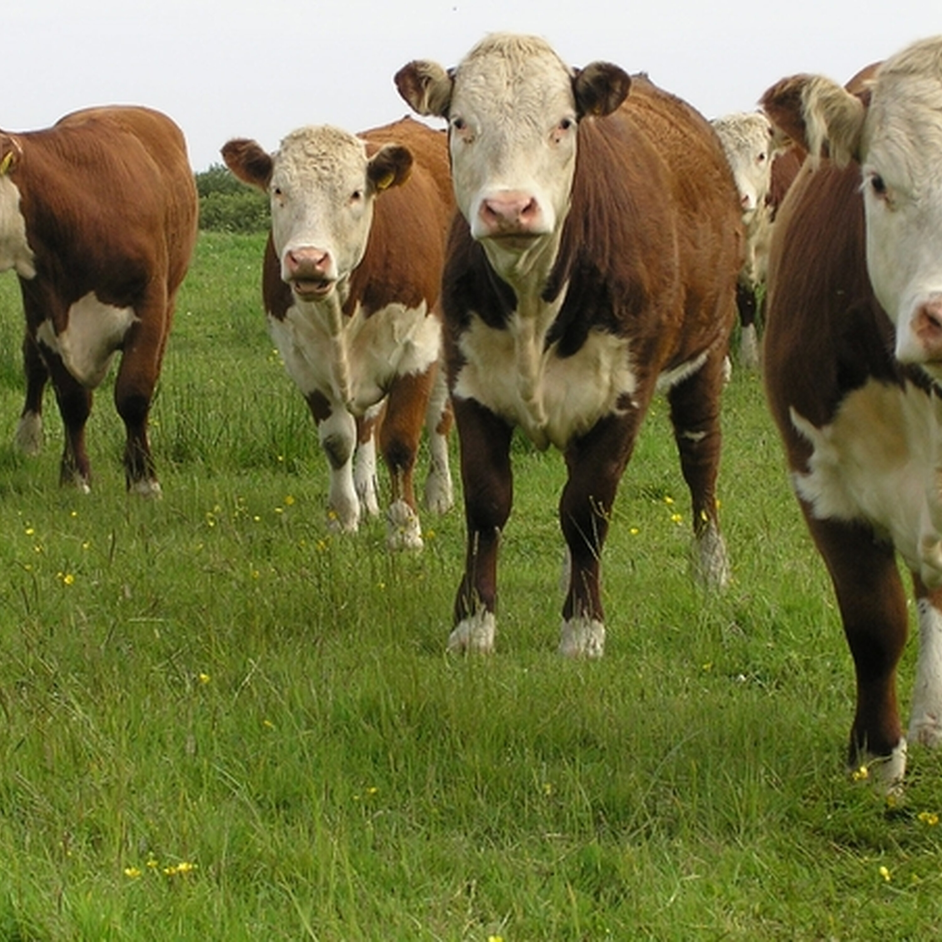 "If they hadn't room for me, I wouldn't be here" "If they hadn't room for me, I wouldn't be here"