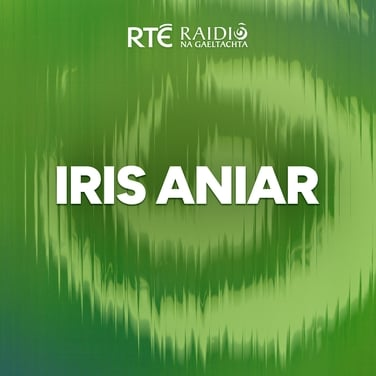 Máire Ní Dhomhnaill, Comhairleoir & Síceolaí.
