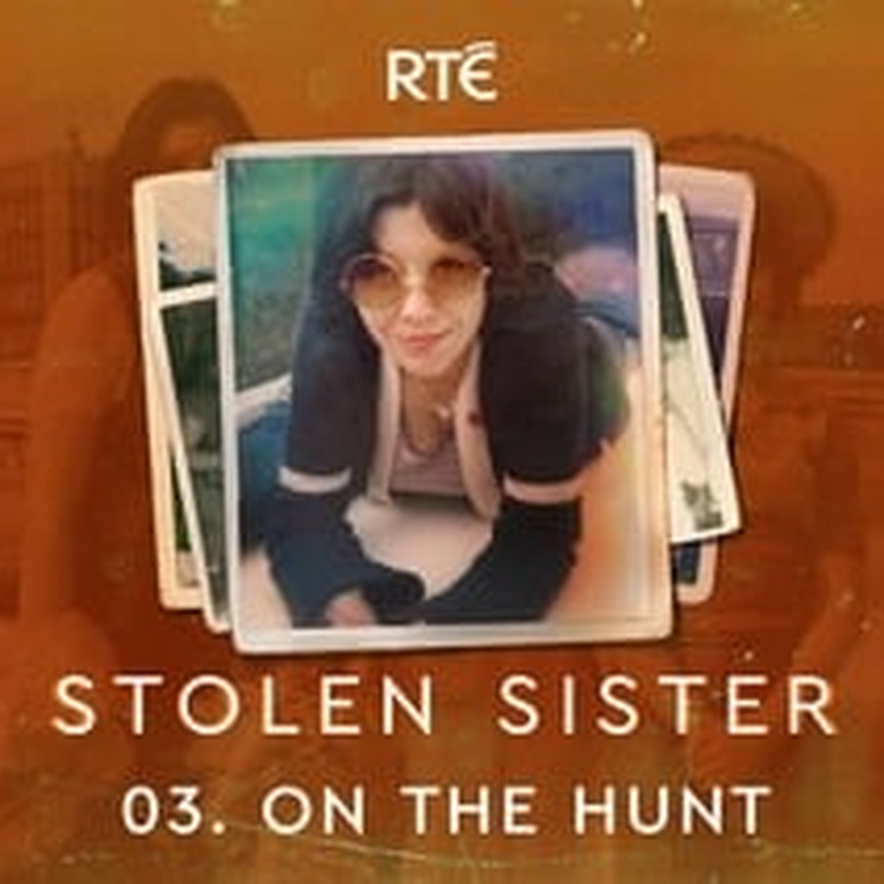 Stolen Sister: 03 - On the Hunt