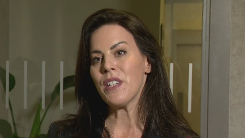 Rotunda seeks meeting with minister on private work by public consultants