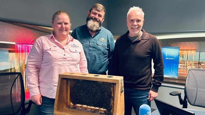The Buzz of the Business of Bees