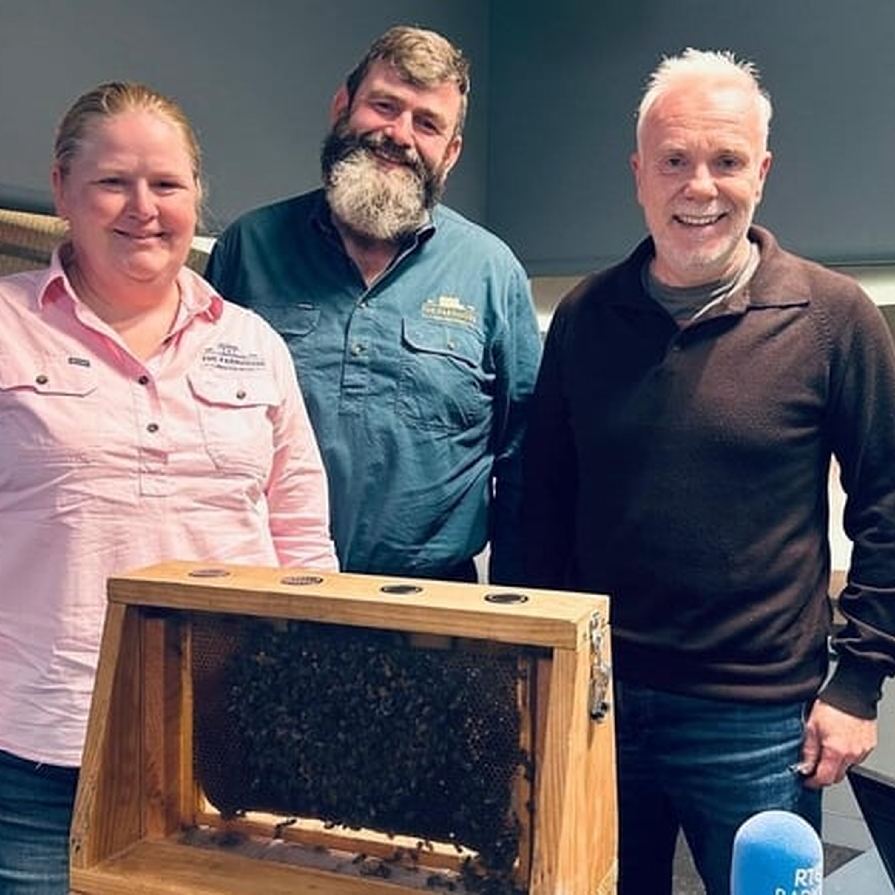 The Buzz of the Business of Bees