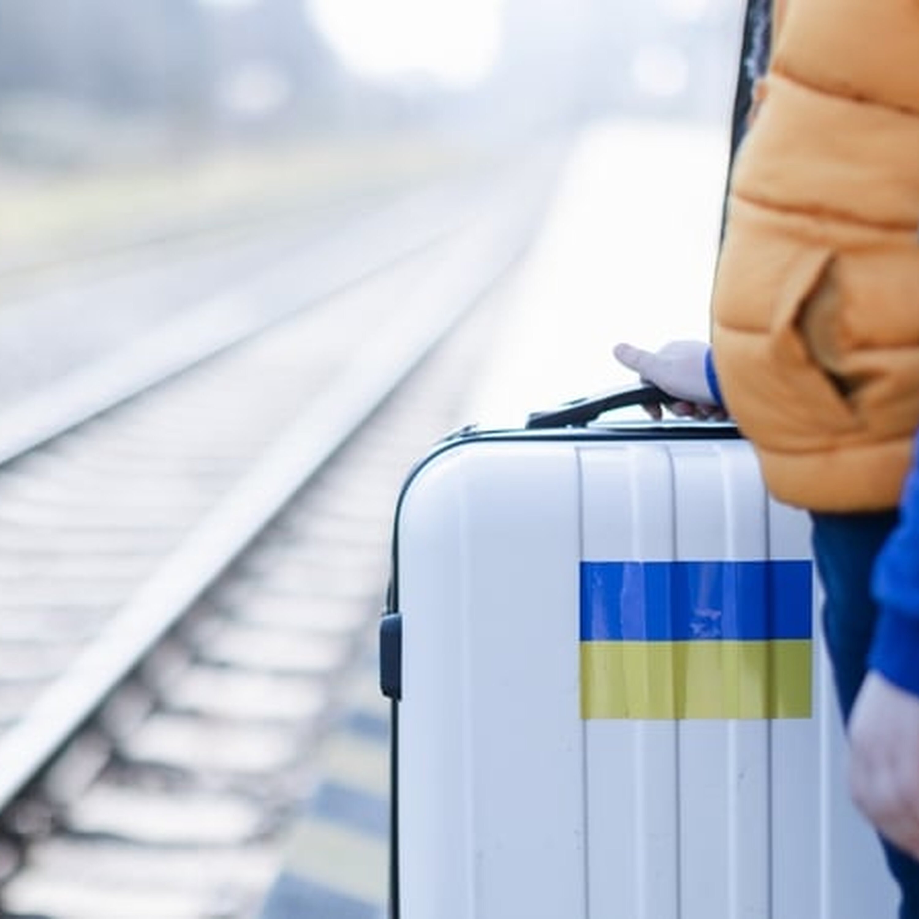 Rise in young Ukrainians seeking temporary protection