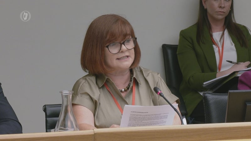 Reaction to CHI at the Oireachtas Committee