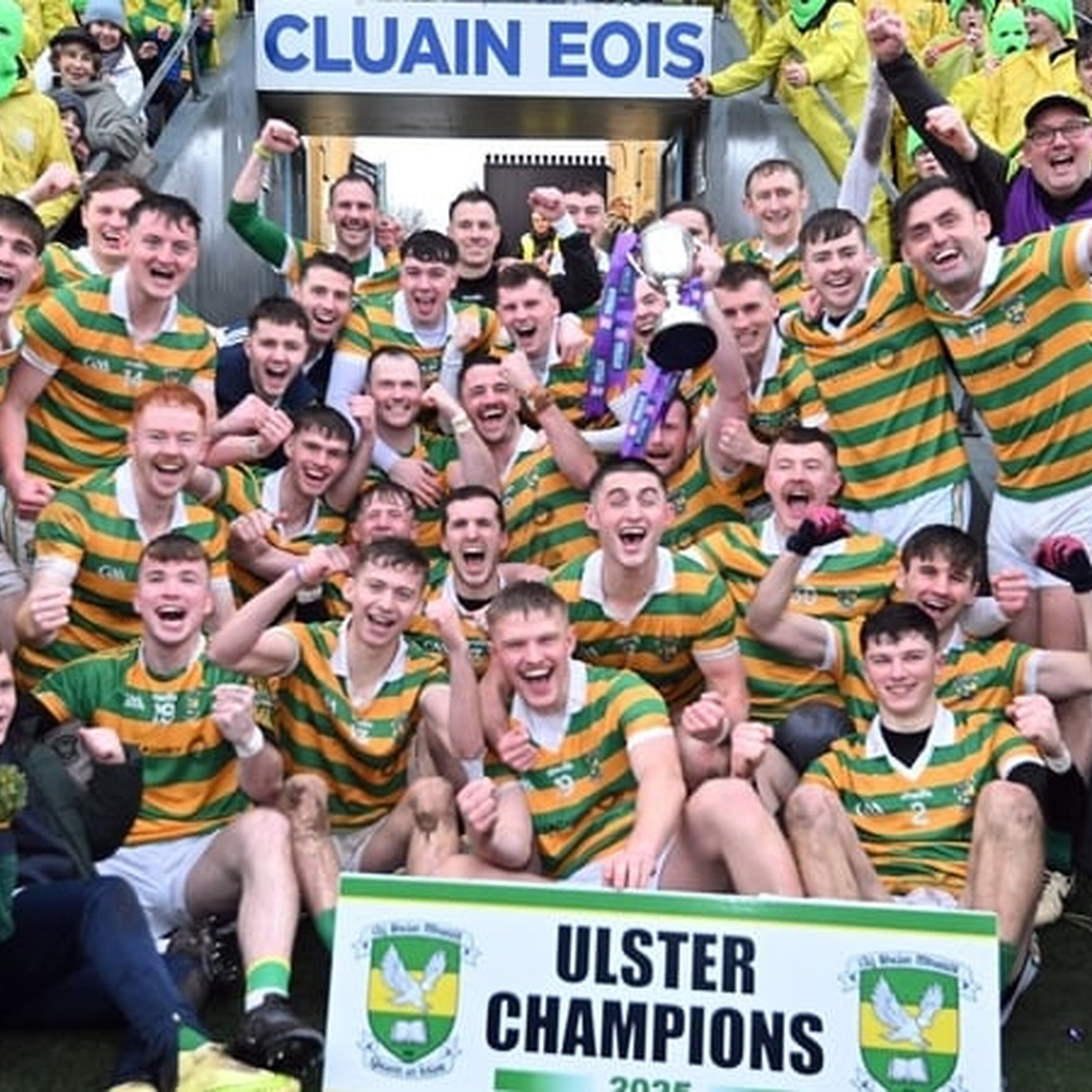 Niall Comer. Niall Comer.