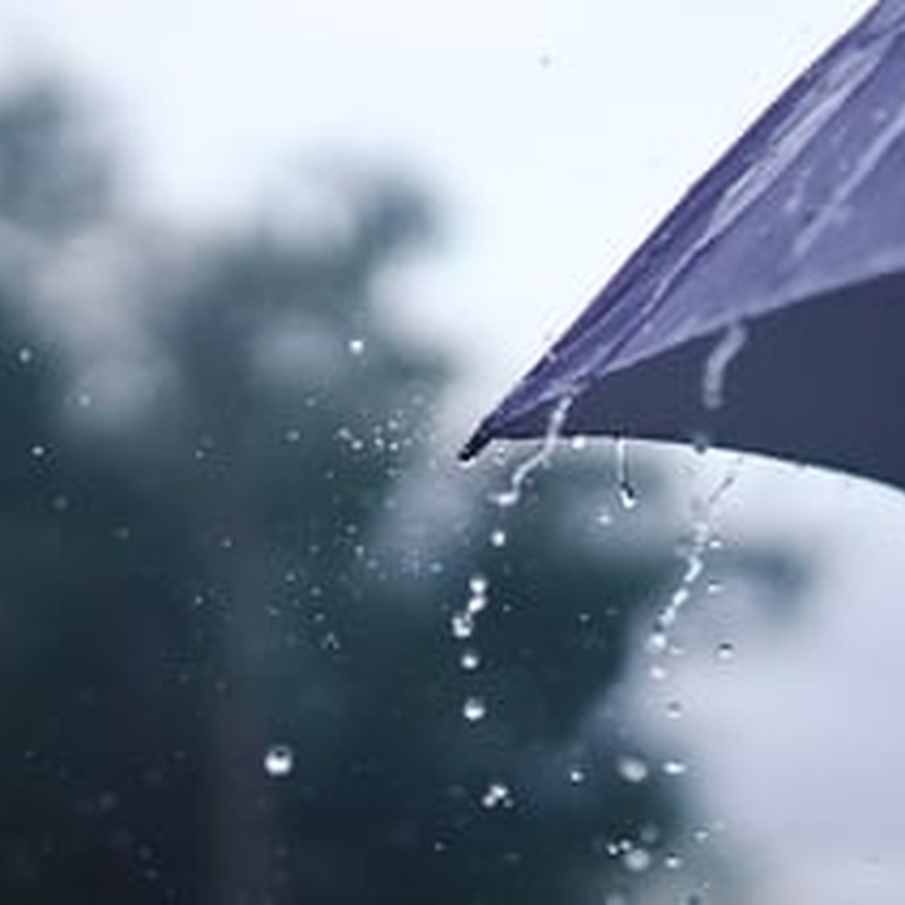 Seán Rima - the amateur weather watcher