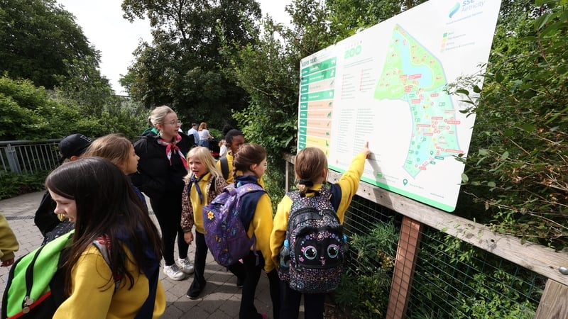 The Irish Girl Guides celebrate their 115-year anniversary