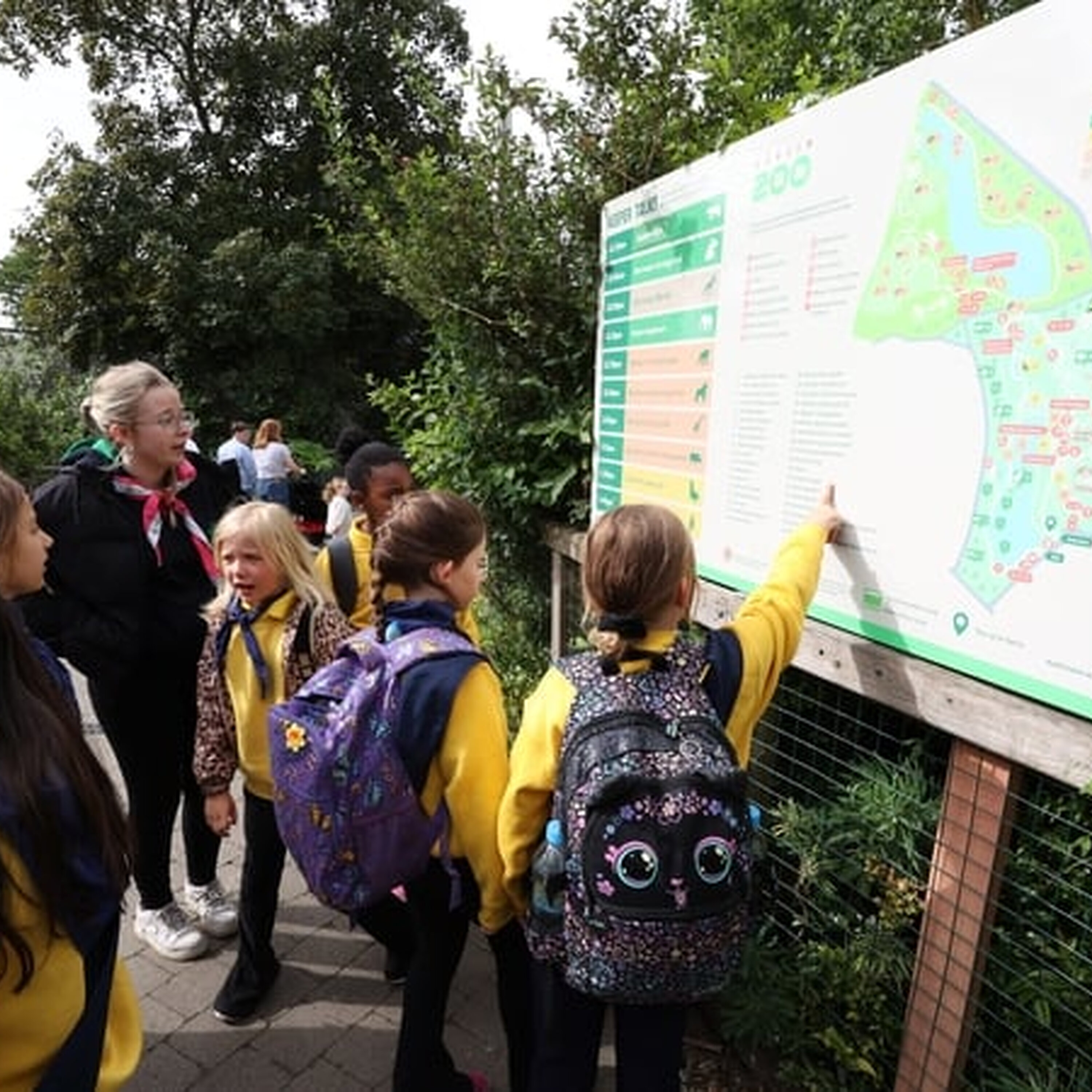 The Irish Girl Guides celebrate their 115-year anniversary