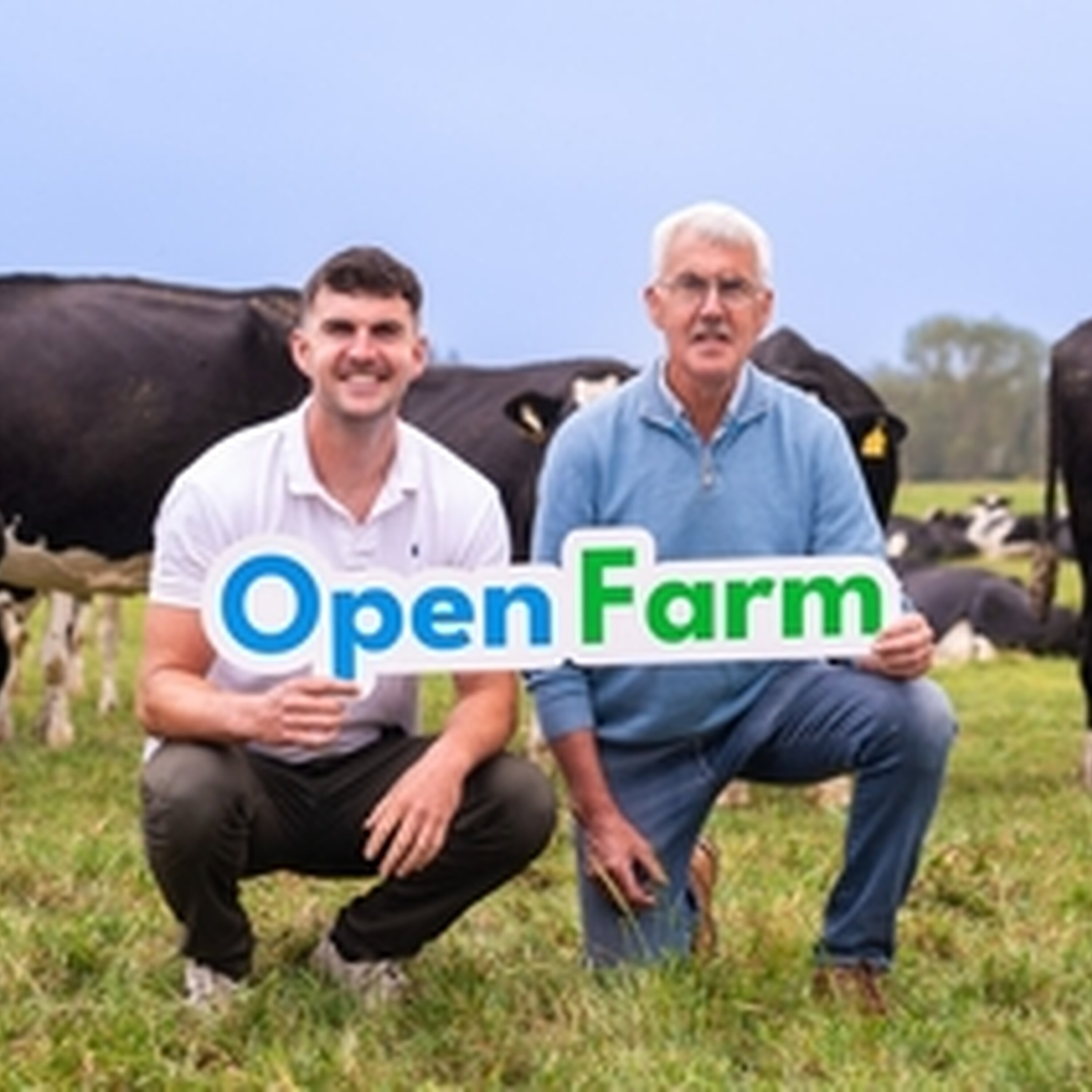 Meath farmers opening their gates to educate the world on dairy farming