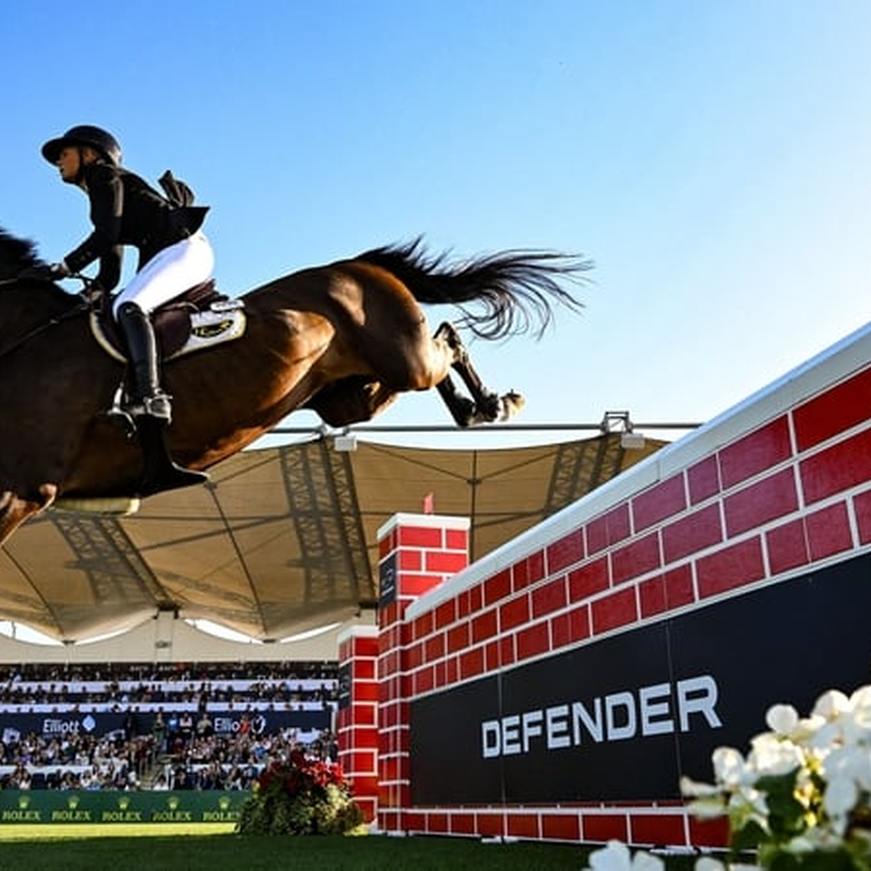 The Dublin Horse Show is returning to the RDS